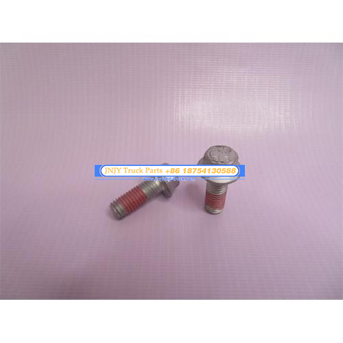 螺丝轮边盖板 徐工LW500F 10*27*1.5丝 一边用10个 原厂 **